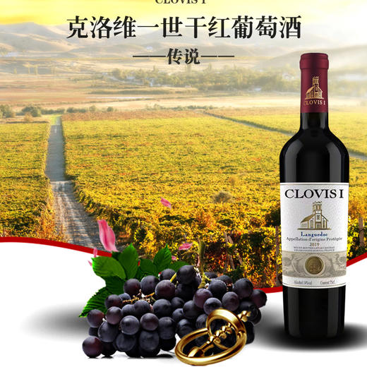克洛维一世*传说干红葡萄酒 750ml*1瓶 商品图1