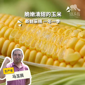 生态水果玉米（承德） | 合作生产*Ecological fruit corn | Partner Production