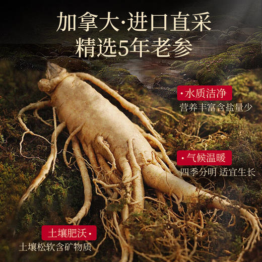 神农金康 加拿大西洋参礼盒258g 滋补营养品 送长辈实用礼物 商品图1