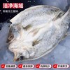 顺丰包邮｜闽威醇香海鲈鱼｜开袋即烹！ 东方甄选推荐👍地理标志福建生态鲈鱼！ 商品缩略图2