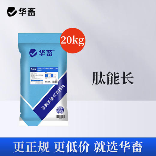 华畜牛肽能长（4%肉牛育肥）复合预混合饲料20kg猛吃猛涨 商品图0