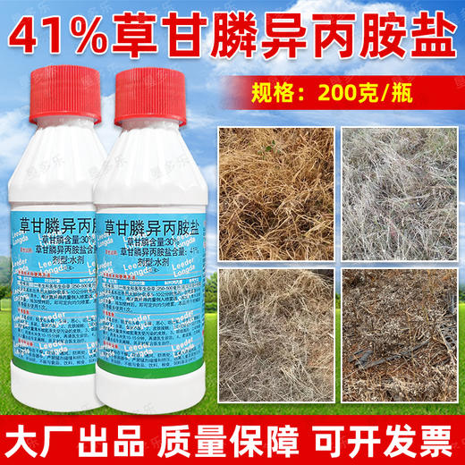 草甘膦异丙胺盐龙达柑橘园除水花生牛筋草小飞蓬专用除草剂正品 商品图3