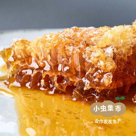 秦岭中蜂百花蜂巢蜜 200g /盒 | 合作农友生产，产自陕西秦岭，生产者：刘蜜书*【公平贸易农人定价】 商品图1