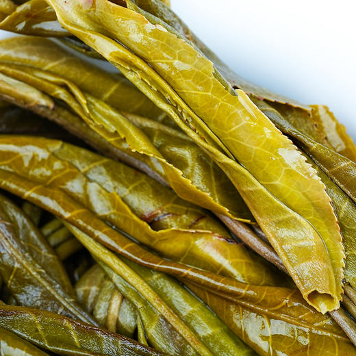 最后十几饼【金票】2025年易武茶区一扇磨古树票级系列重磅产品357克/饼拍5发6 商品图5