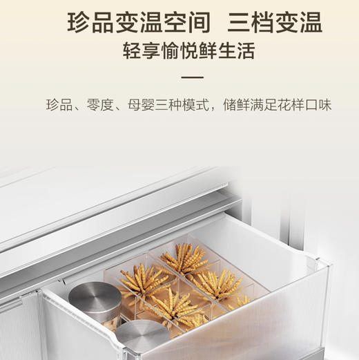 海尔（Haier）冰箱 BCD-509WGHFD1BY7U1 商品图9