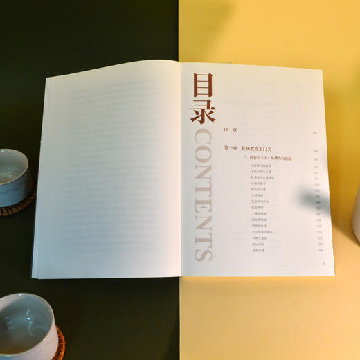 丝路新疆:凝固千年的文化底片 商品图4