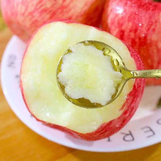 【超脆甜❗️山东烟台红富士苹果】现摘现发，鲜脆爽口，营养丰富！正宗整箱栖霞苹果新鲜水果批发平果 商品图2