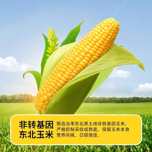 谷栗村有机南瓜玉米糊320g 商品图3