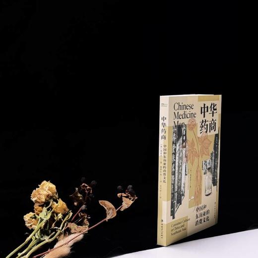 中华药商：中国和东南亚的消费文化 获列文森中国研究图书奖 商业史 中国工人出版社 商品图2