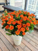 橙芭比多头玫瑰 10支( 40-45个花苞)/扎【GY】 商品缩略图10