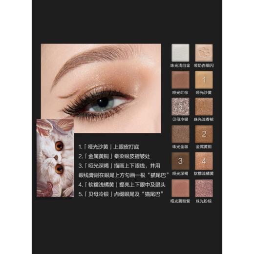 完美日记09号猫咪探险家十二色眼影盘 商品图1