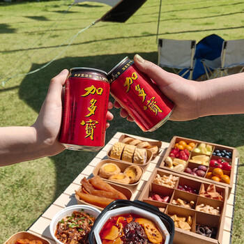 加多宝凉茶植物饮料310ml*24罐 年货礼盒 (新老包装随机发货) 商品图5