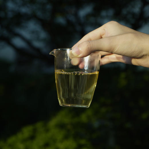 收藏级 大忠 勐库西半山 大户赛普洱生茶 兰香浓郁 仅15斤 商品图1