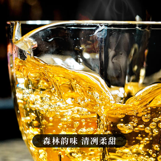 最后十几饼【金票】2025年易武茶区一扇磨古树票级系列重磅产品357克/饼拍5发6 商品图1