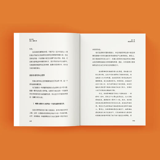 《我的刺猬小孩》 商品图7