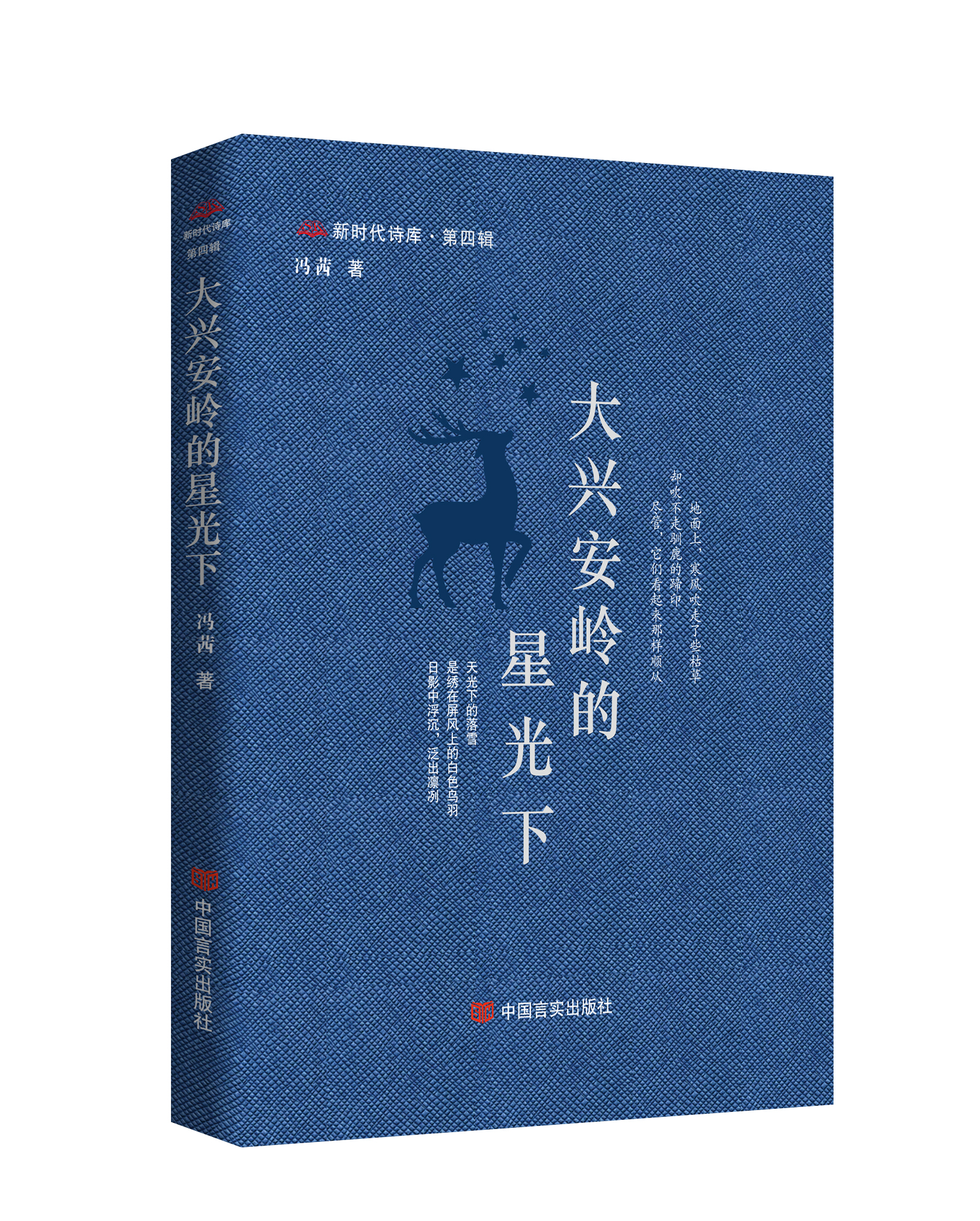 大兴安岭的星光下