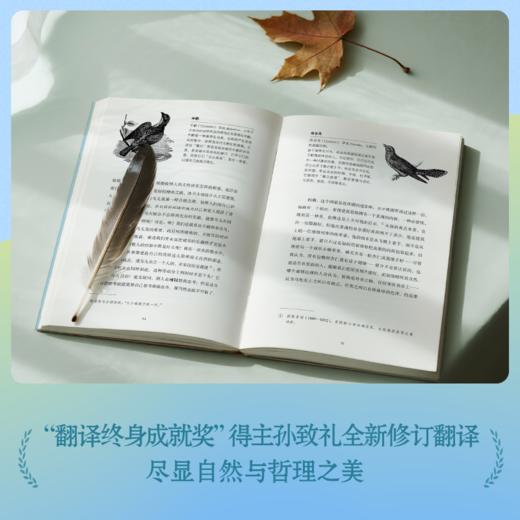 瓦尔登湖：通识图解版 商品图4