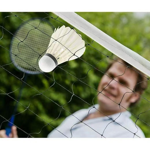 沃尔玛外贸单卖完没有仅此一批～
6只装鹅毛羽毛球，高性价比，专业快速版！ 商品图5