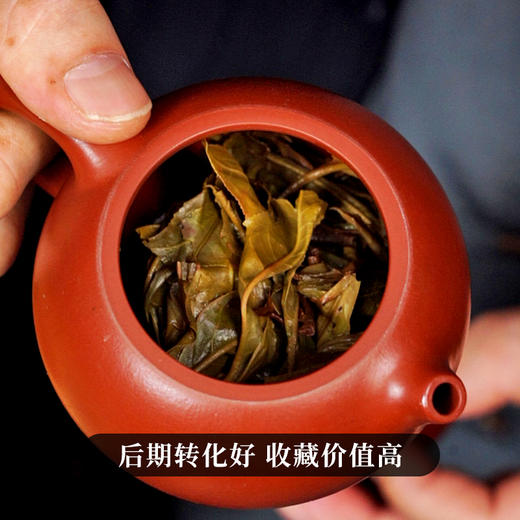 最后十几饼【金票】2025年易武茶区一扇磨古树票级系列重磅产品357克/饼拍5发6 商品图2