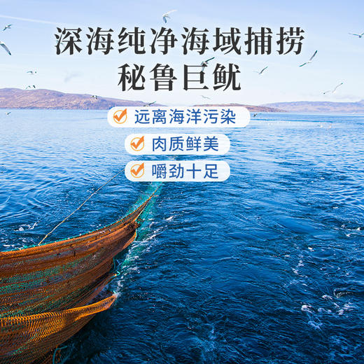 食味的初相*秘鲁深海巨鱿 鱿鱼条鱿鱼丝230g*1袋/2袋 原味辣味可选 商品图4