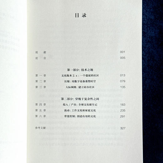 硅谷文化 英格利希·鲁埃克 薄荷实验 科技生活 商品图6