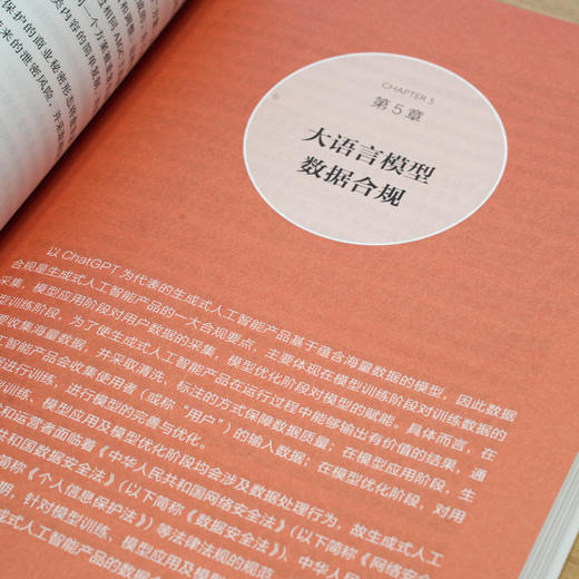 官网 大模型安全 监管与合规 王贤智 叶娟 陈梦园 刘子旭 网络空间安全技术丛书 AI大模型 大语言模型 生成式人工智能安全技术书 商品图4