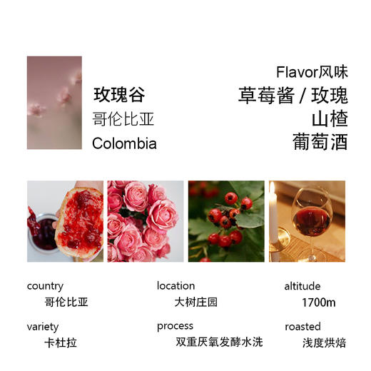 哥伦比亚大树庄园玫瑰谷双重厌氧酵素水洗咖啡豆 商品图1
