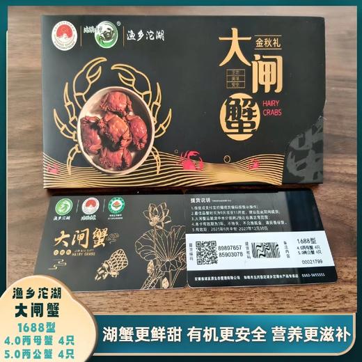 五河--沱湖有机大闸蟹（1688型）蟹卡【FY】 商品图0