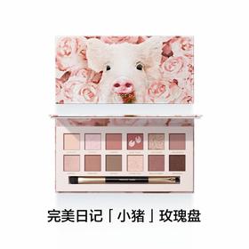 完美日记17号小猪玫瑰探险家十二色眼影
