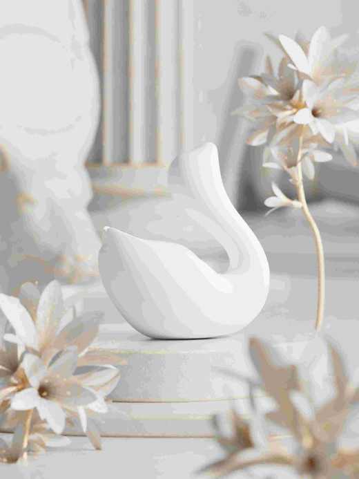 只己 女用小天鹅震动吮吸跳蛋 商品图0