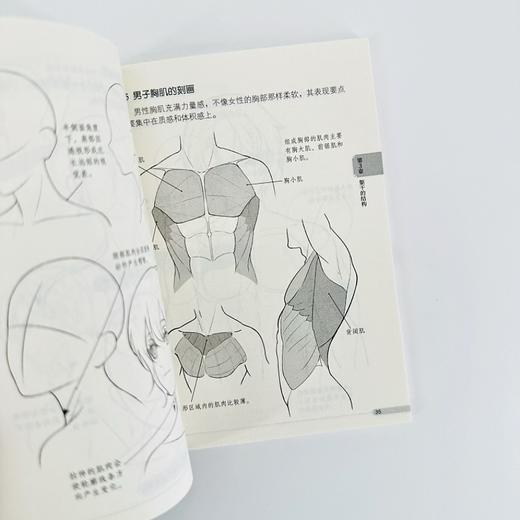 漫画教程口袋书 人体结构 二次元动漫绘画技法基础入门自学教程 人体结构动态造型教程临摹图册 商品图2
