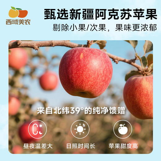 【FX】西域美农鲜蒸苹果干560g  非常好吃  酸甜有嚼劲 非常好吃！！ 商品图6