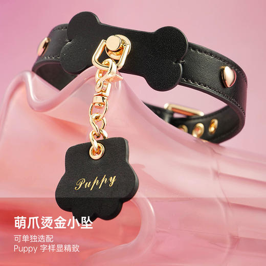 原创情侣升温小道具轻度调教牵引套装真皮狗牌项圈手铐 商品图4