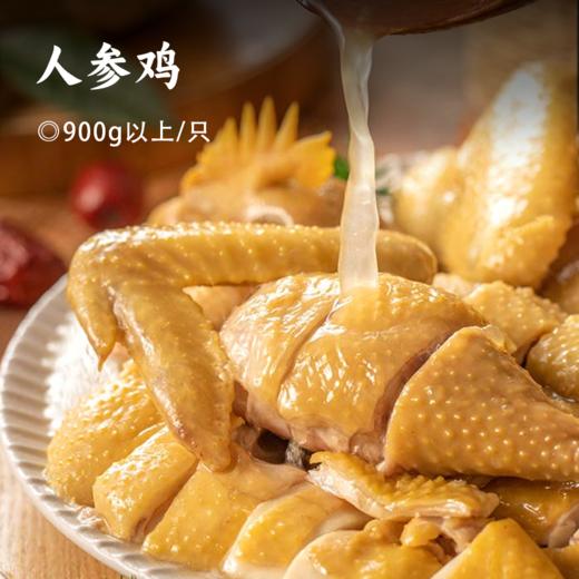 人参鸡 | 180天林间散养上树鸡+5年林下参熬汤制作而成 ! 入口咸鲜爆汁、鲜香肉嫩、参味浓郁 ! 一鸡两吃 商品图0