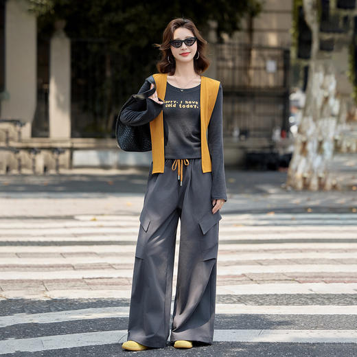 HR YJLY8602休闲时尚气质披肩套装洋气减龄宽松阔腿裤两件套 商品图1