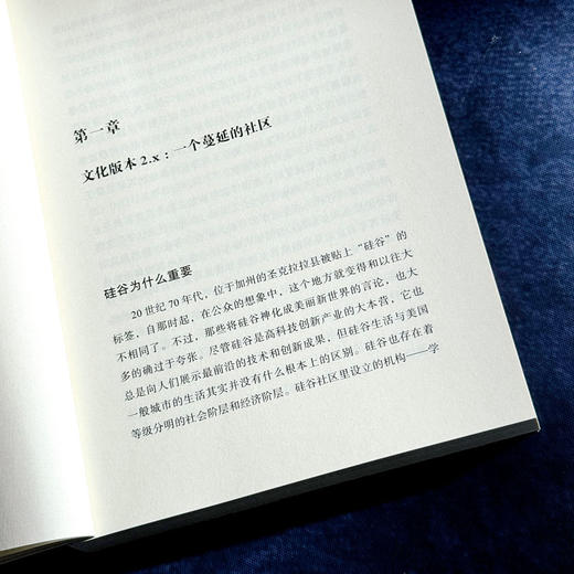 硅谷文化 英格利希·鲁埃克 薄荷实验 科技生活 商品图7