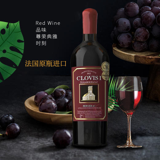 克洛维一世*城堡干红葡萄酒 750ml*1瓶 商品图0