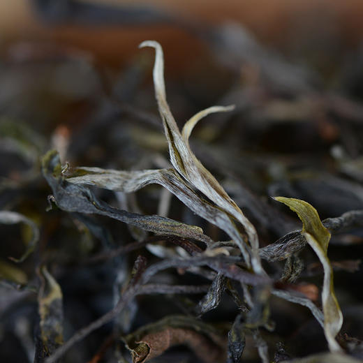 2024《绿水塘》古树春茶散茶 生茶 200克/袋 500克/袋 商品图2