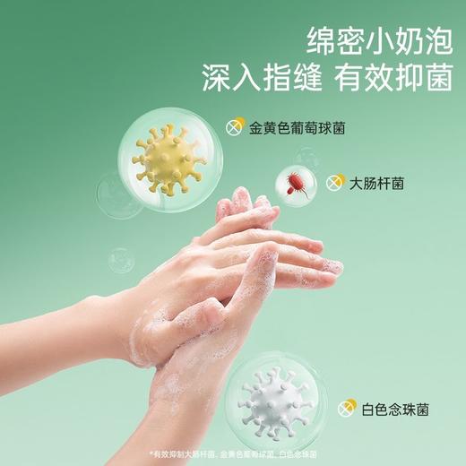 【泡沫型抑菌率99.9%】子初泡沫抑菌洗手液 300g/瓶 商品图4