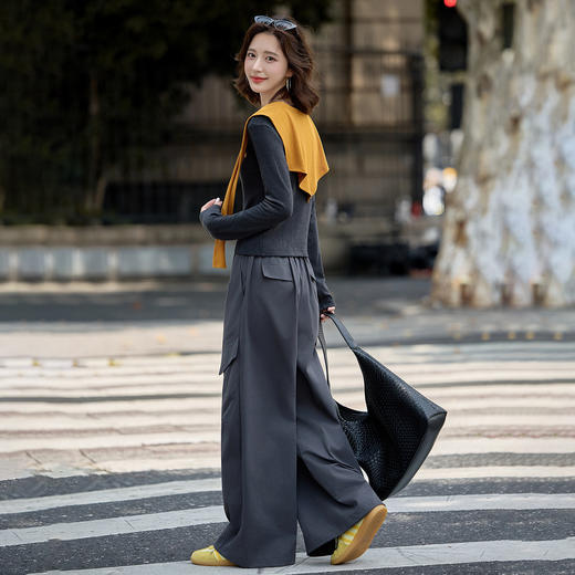 HR YJLY8602休闲时尚气质披肩套装洋气减龄宽松阔腿裤两件套 商品图3