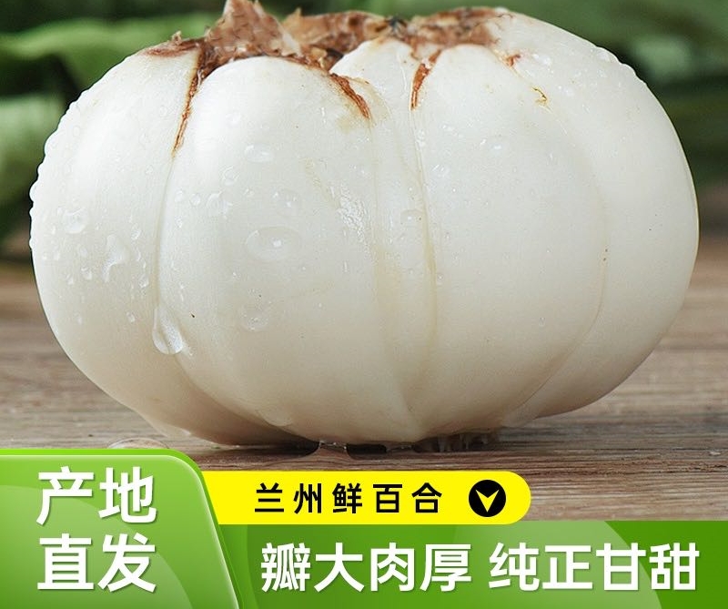 【兰州】鲜百合#味道甜美，纤维少，无苦味,可生食甜百合，核心产区七里河区，生吃脆甜，熟吃软糯鲜甜