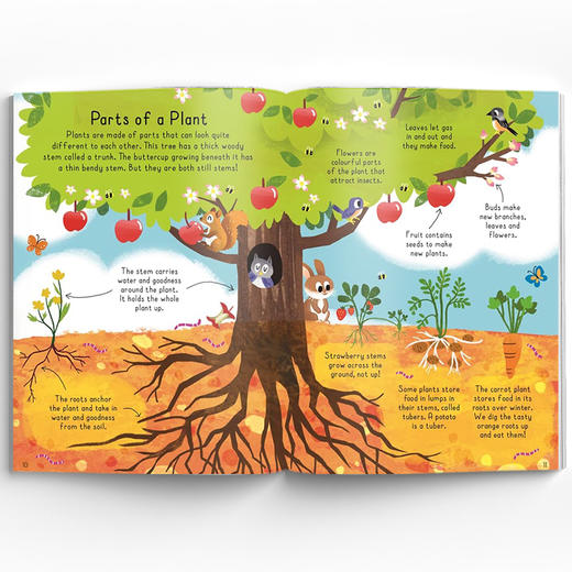 Tell Me About…神奇的植物与人体大揭秘 商品图2