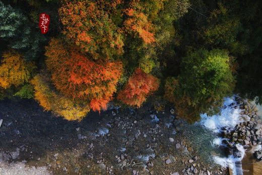 金秋·川西 7 天摄影团·牛背山云海+丹巴藏寨 + 金川红叶 商品图0