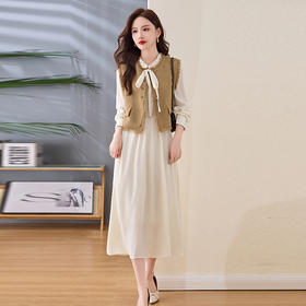 【预售3天】新中式复古刺绣设计感连衣裙套装LSNY2550