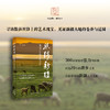 丝路新疆:凝固千年的文化底片 商品缩略图0