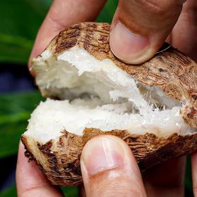 【牛奶小芋头•云南】新鲜现挖，软糯香滑，入口即化！正宗9斤整箱新鲜小香芋芋艿蘸糖10包邮芋头中秋节送礼物