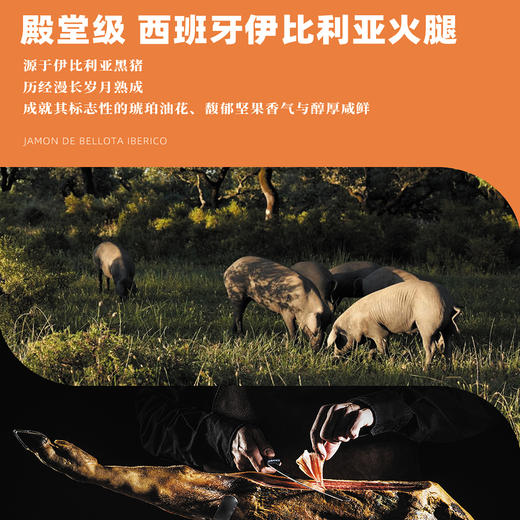 殿堂级西班牙伊比利亚火腿月饼礼盒 团购10套及以上价格更优惠，详情咨询葡道在线客服或门店工作人员 商品图2