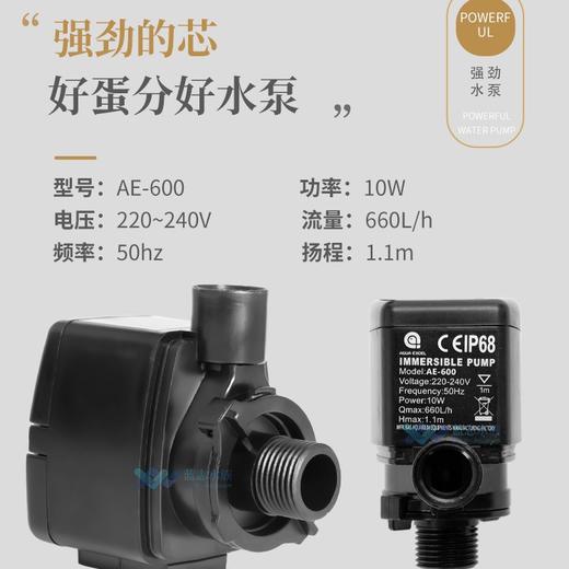 AE-NANO70   NANO50  小缸蛋分   AE蛋分 商品图2