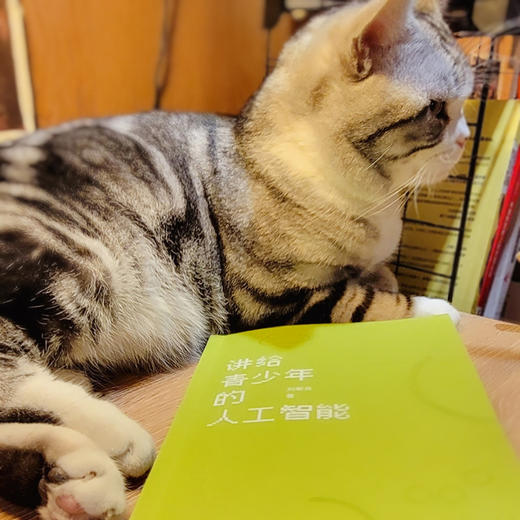 讲给青少年的人工智能 商品图4