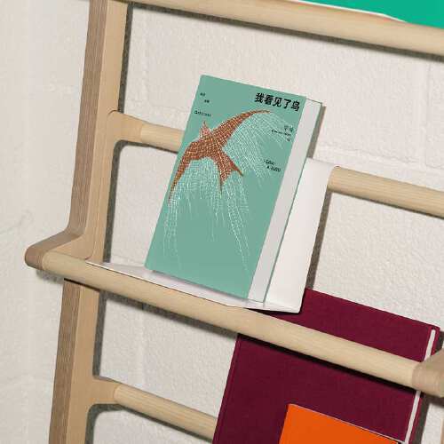 单读41·我看见了鸟 吴琦 主编 商品图3